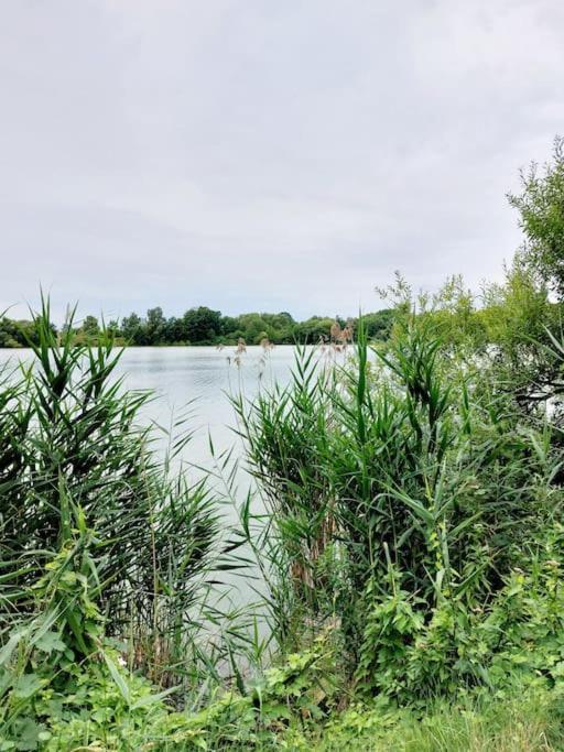 Zentrale Ferienwohnung - Direkt Am See Und Schloss Schwerin  Eksteriør bilde